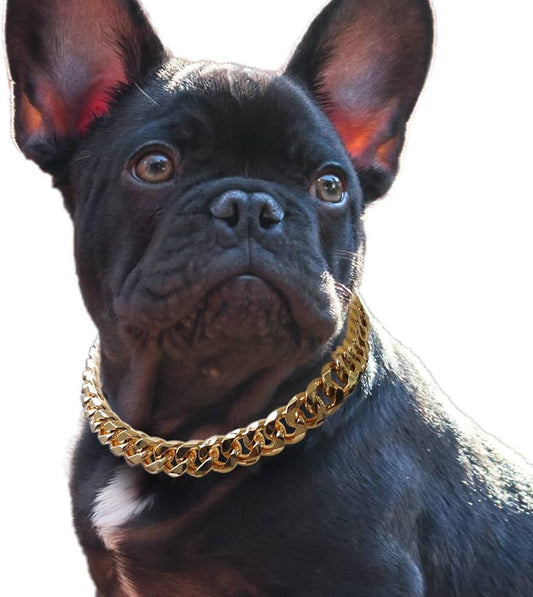 Embracing Pet Fashion: The Rise of Chain Necklaces