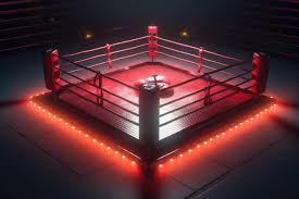 Harnessing Boxing Rings: A Unique Brand and Market Strategy