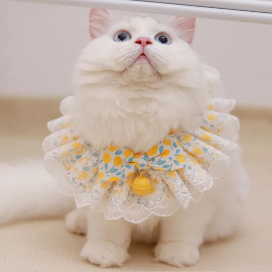 Pet Fashion Revolution: The Beauty of Flowers Necklaces