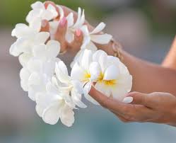 The Beauty and Business of Hawaiian Flower Necklaces