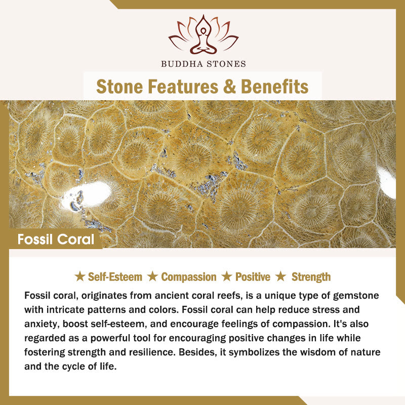 Bracelet de compassion en corail fossile de Buddha Stones