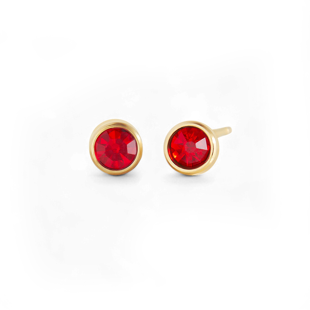 Clous d'oreilles avec pierre de naissance