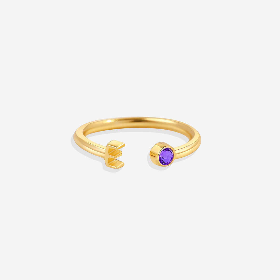 Zierlicher Geburtsstein-Initialenring