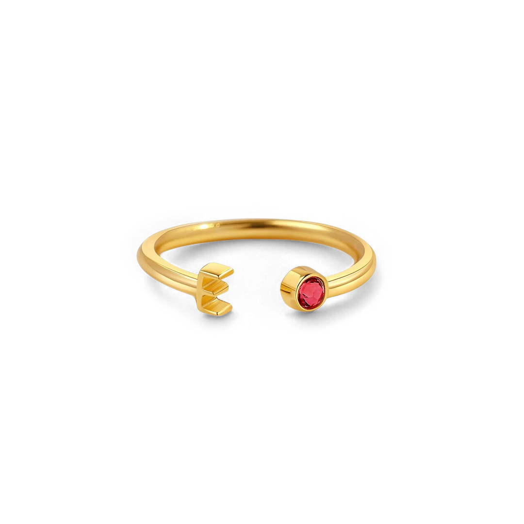 Zierlicher Geburtsstein-Initialenring