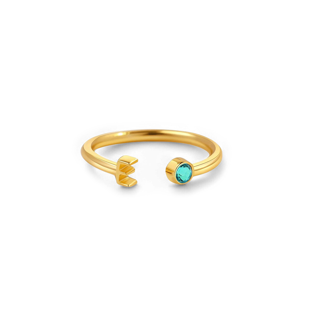 Zierlicher Geburtsstein-Initialenring