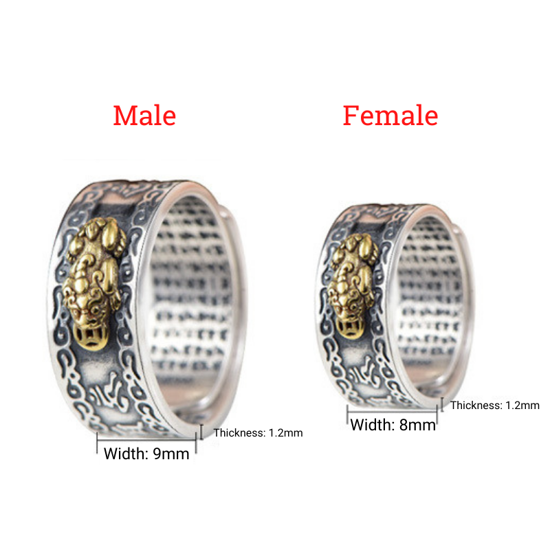 Bague Feng Shui Pixiu Mantra - Richesse et protection