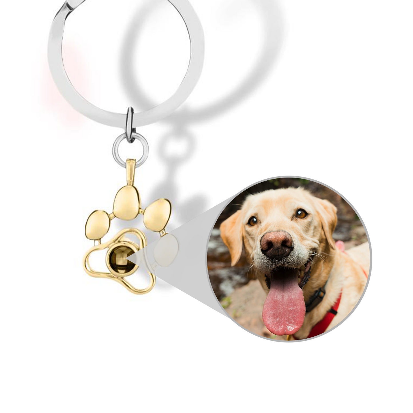 Pet Paw Photo Keychain
