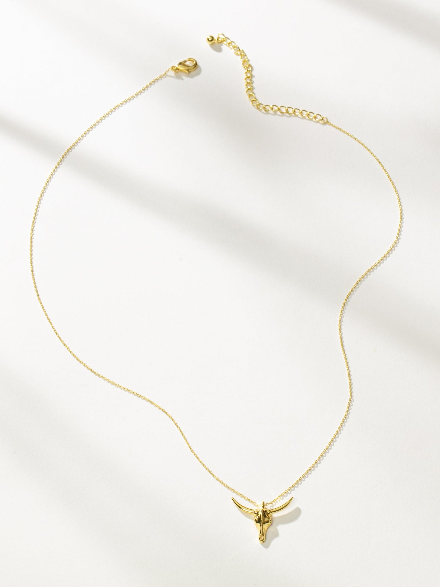 Collier de combattant