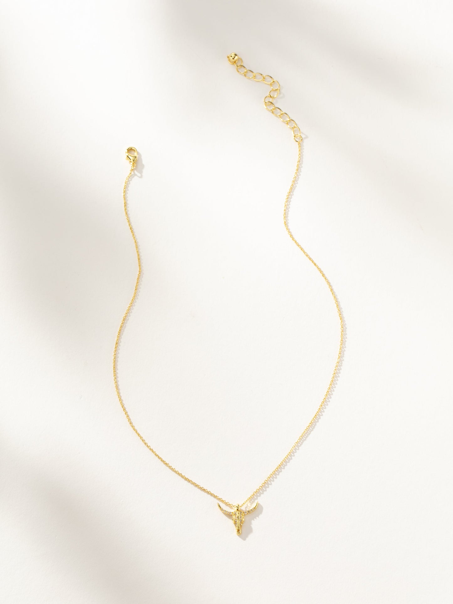 Collier de combattant 2.0