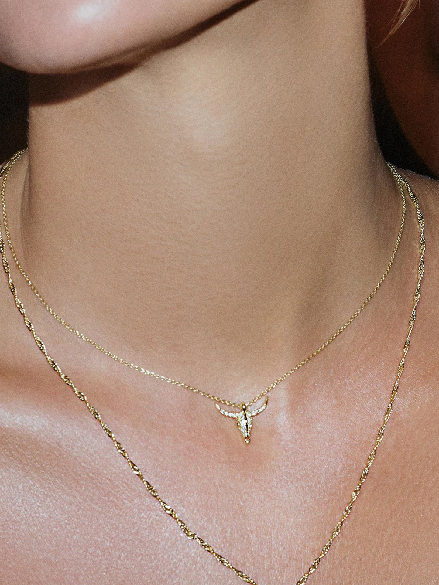 Collier de combattant 2.0