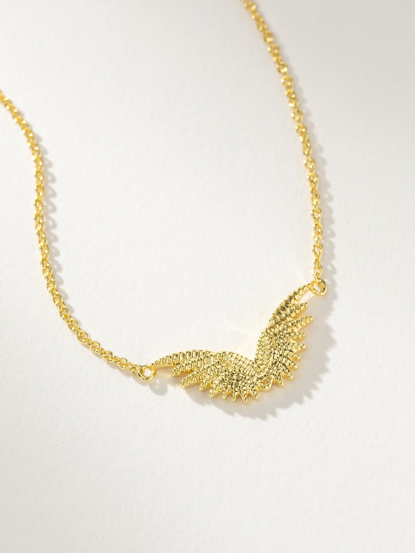 Collier de protection