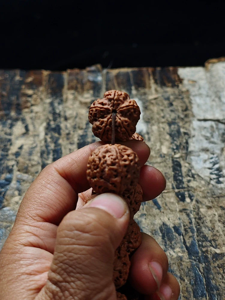 Grand bracelet de perles Bodhi King Kong en griffes de dragon du Népal