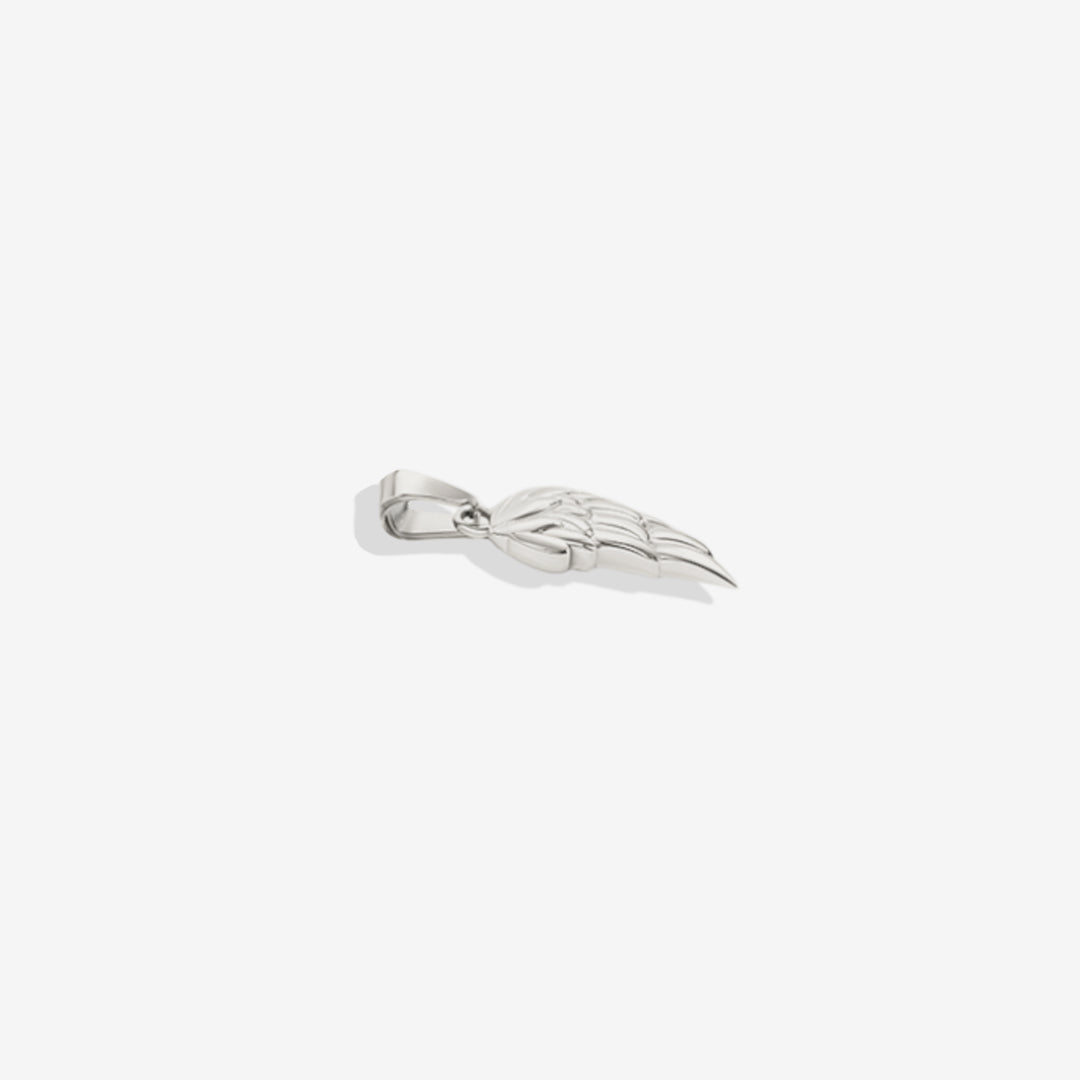 Le collier pendentif aile