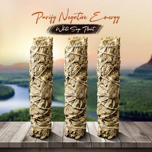 Bâtonnets de sauge blanche – Pour purifier la négativité