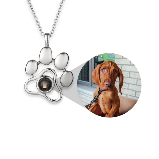 Collier photo personnalisé pour animaux de compagnie