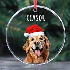 Embrace Personalized Experiences with Dog Photo Frame Ornaments