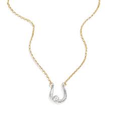 The Power of Connection: Harnessing the Horseshoe Necklace in Business Collaborations