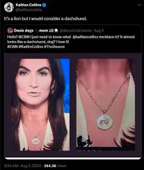 The Power of a Necklace: Kaitlan Collins and Image Management
