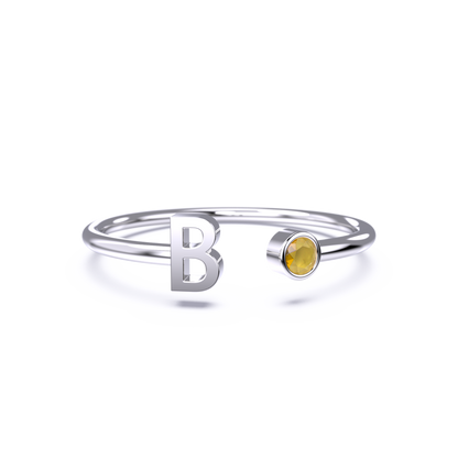 Zierlicher Geburtsstein-Initialenring