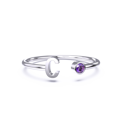 Zierlicher Geburtsstein-Initialenring
