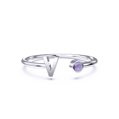 Zierlicher Geburtsstein-Initialenring