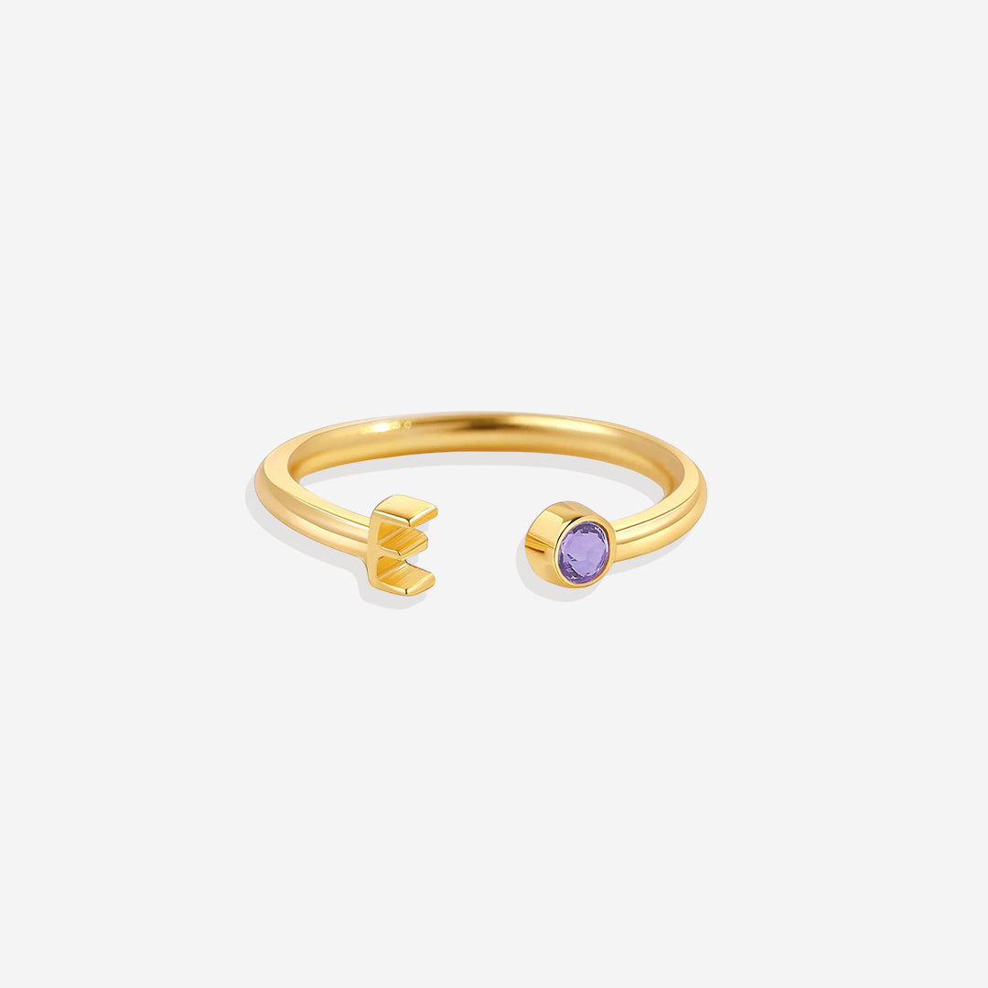 Zierlicher Geburtsstein-Initialenring