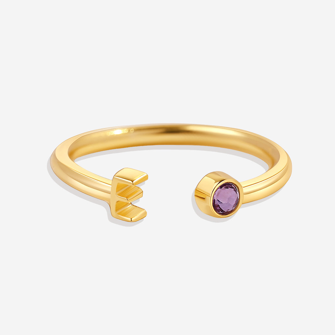 Zierlicher Geburtsstein-Initialenring