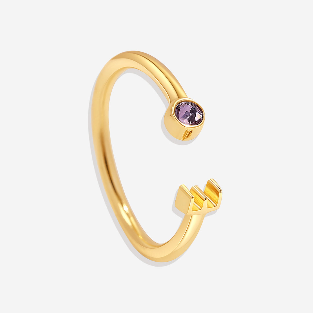 Zierlicher Geburtsstein-Initialenring