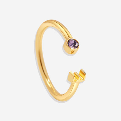Zierlicher Geburtsstein-Initialenring