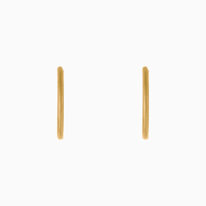 Small Hoop Earrings