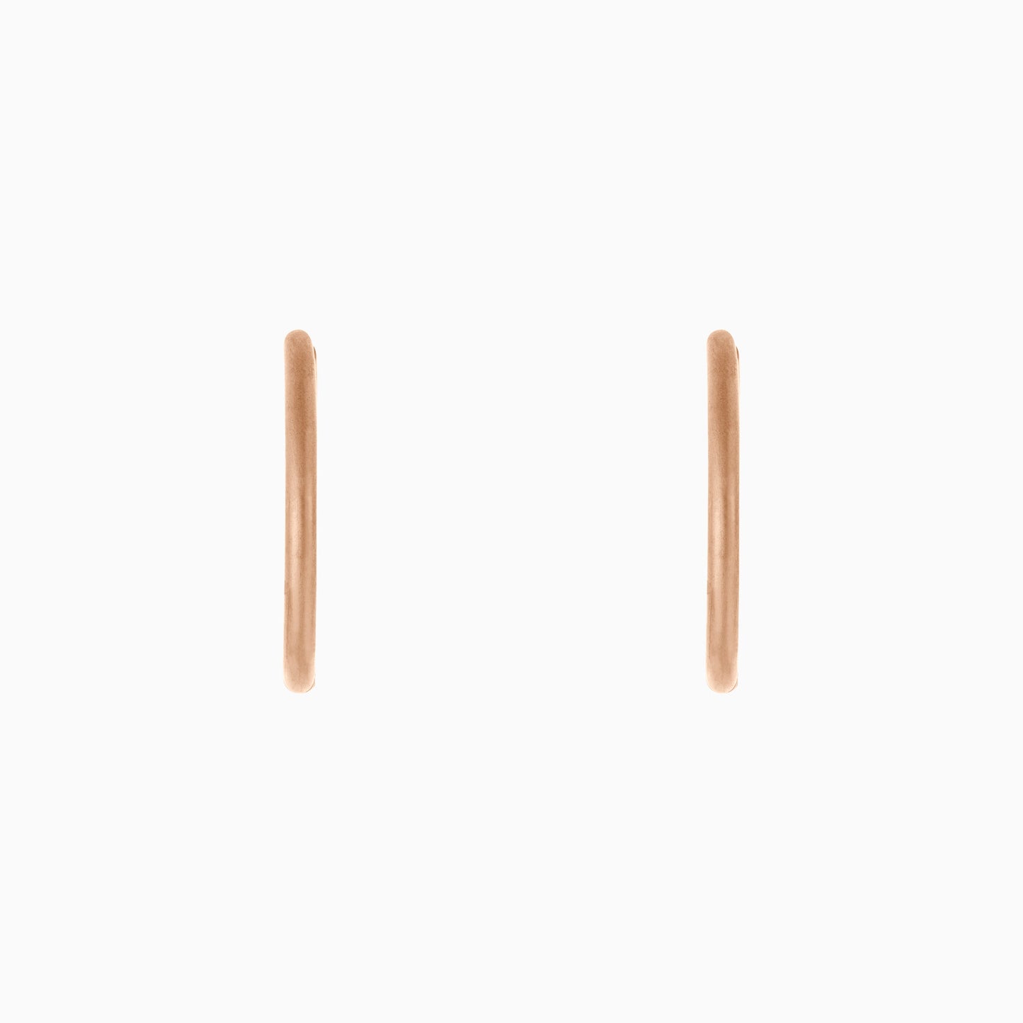 Small Hoop Earrings