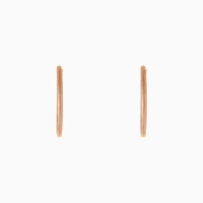 Small Hoop Earrings