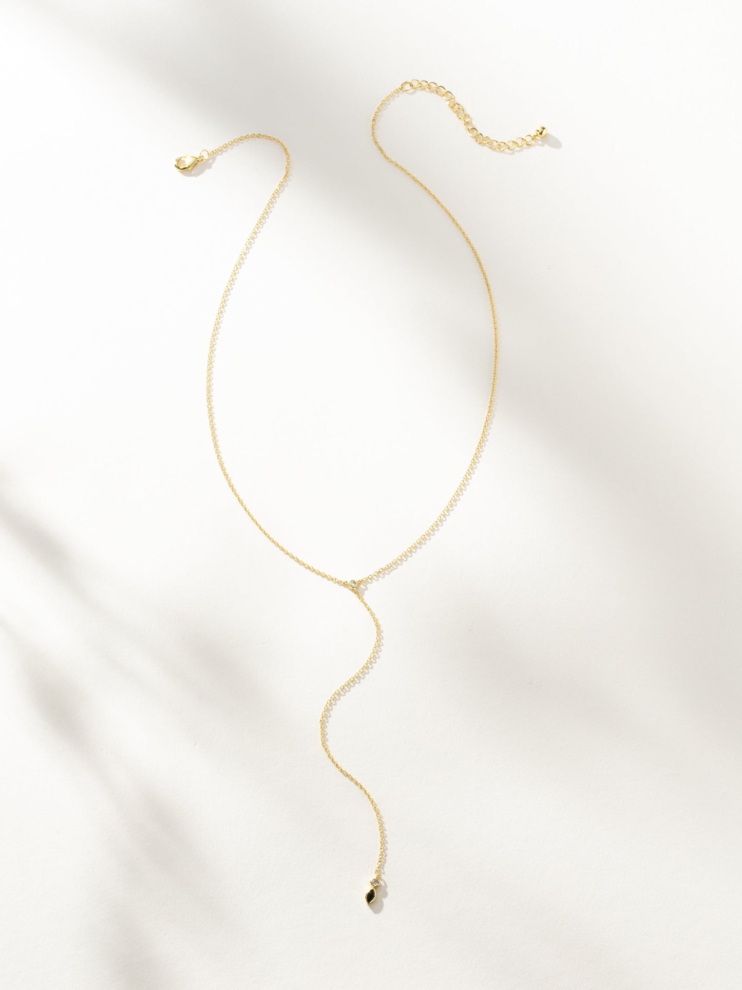 Collier Lariat Rebellion