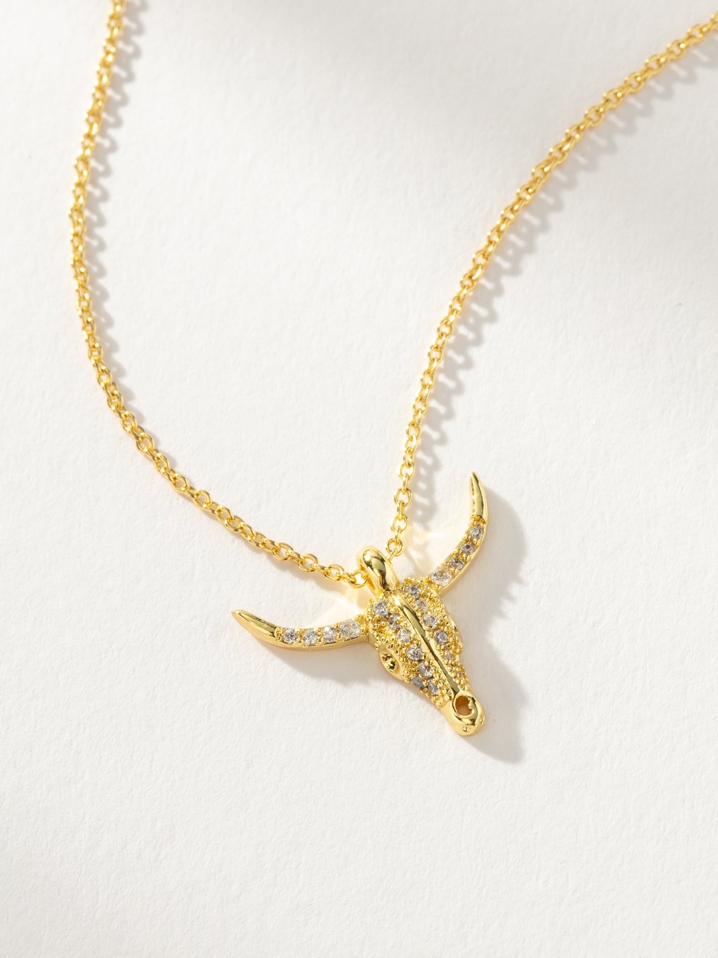 Collier de combattant 2.0