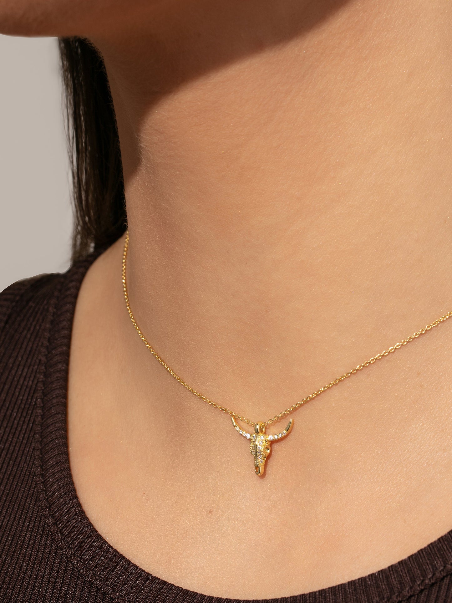 Collier de combattant 2.0