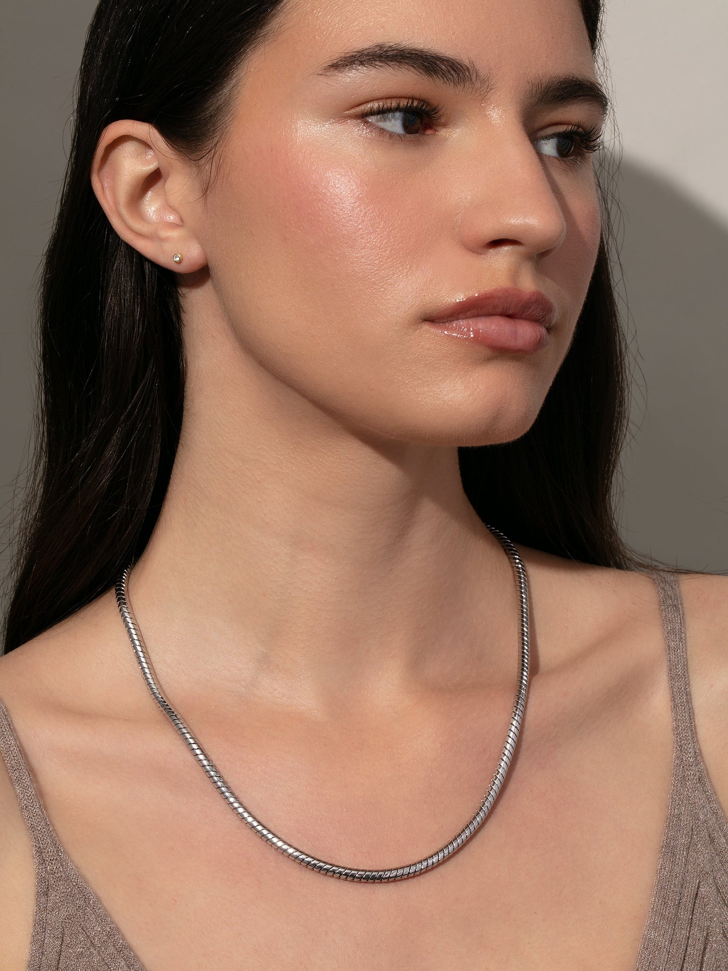 Bold Snake Chain Necklace