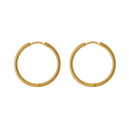 Small Hoop Earrings