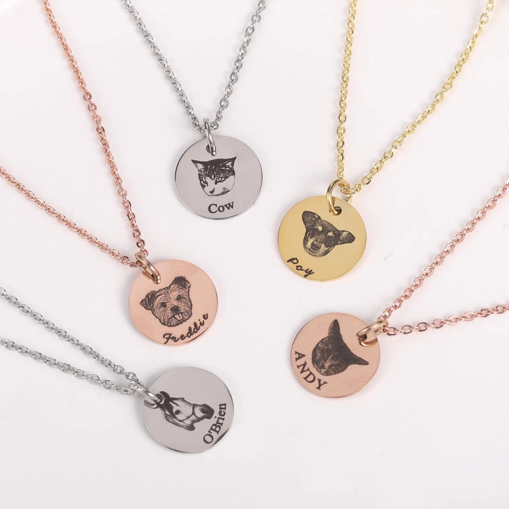Collier personnalisé avec photo et nom d'animal de compagnie 