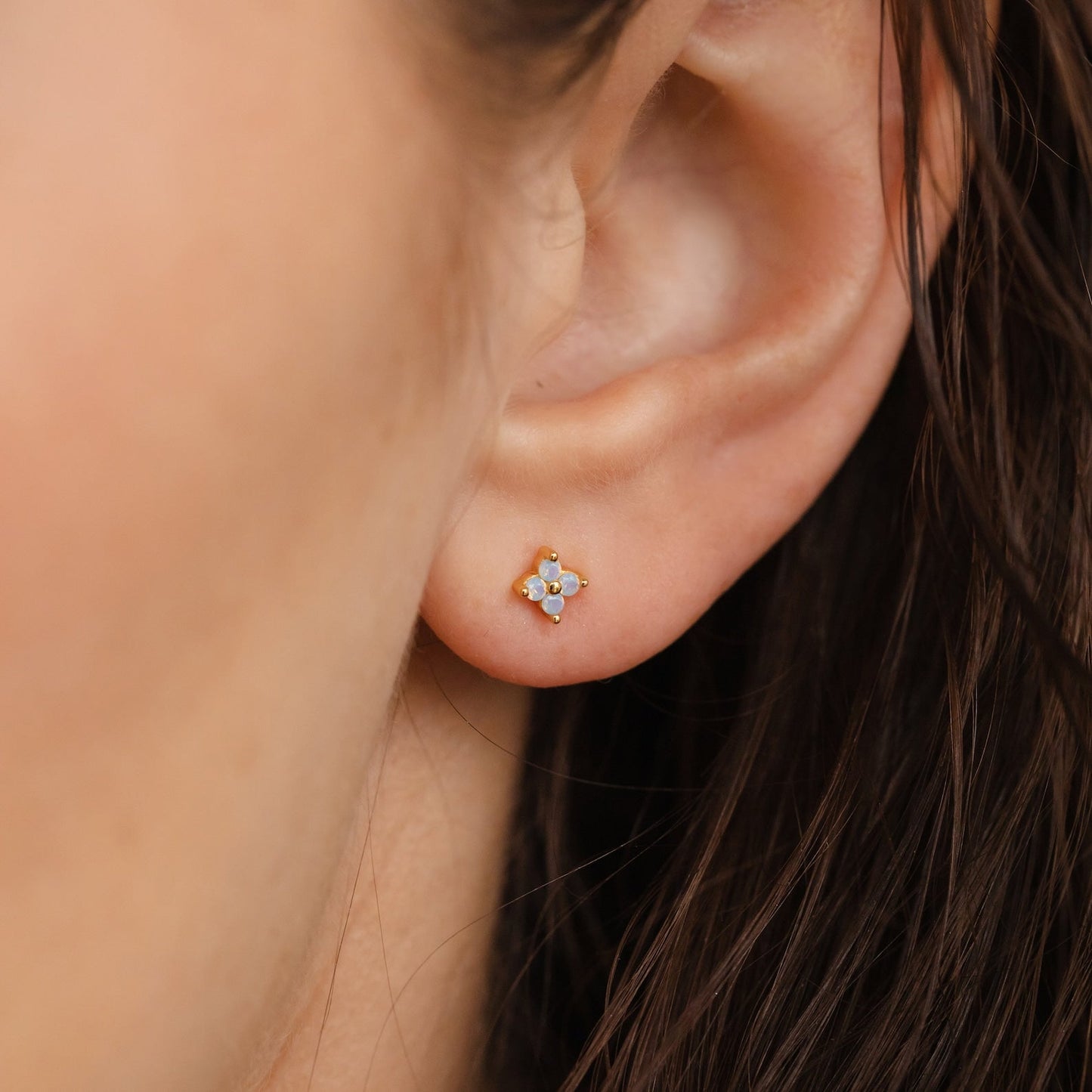 Ensemble de boucles d'oreilles en fleur de lierre 