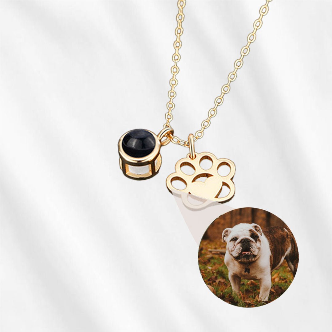 Collier patte avec image à l'intérieur