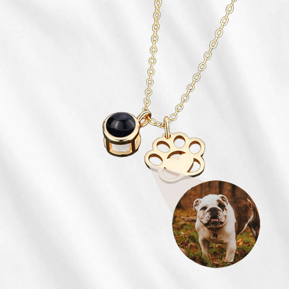 Collier patte avec image à l'intérieur