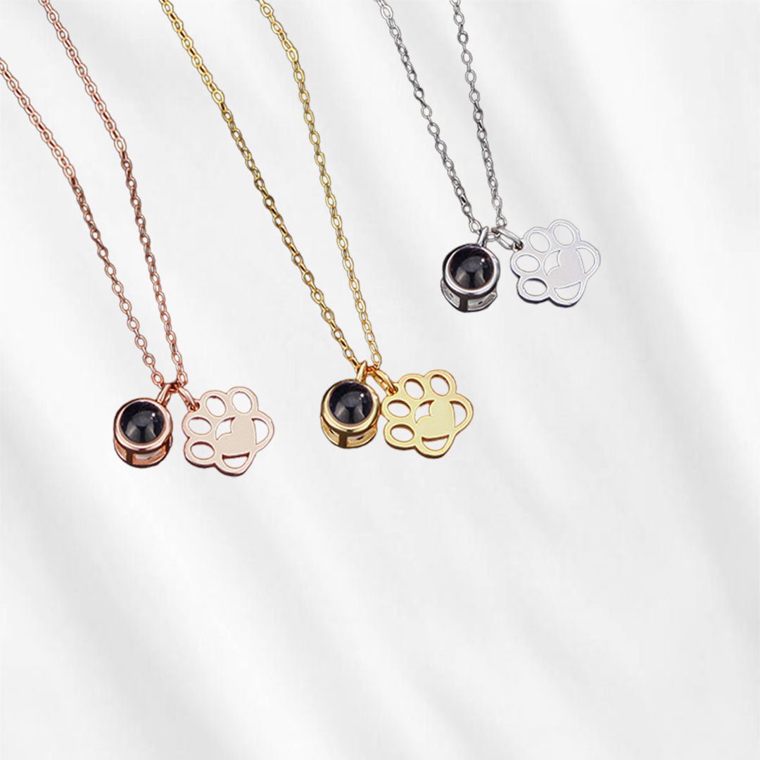 Collier patte avec image à l'intérieur