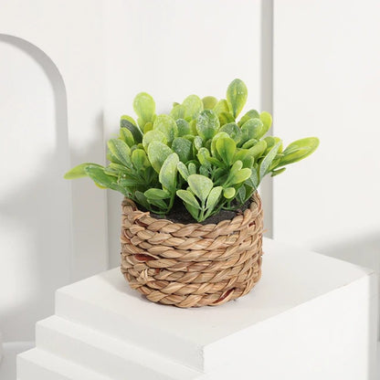 Summer Gemstone and Feng Shui Gift Bundle