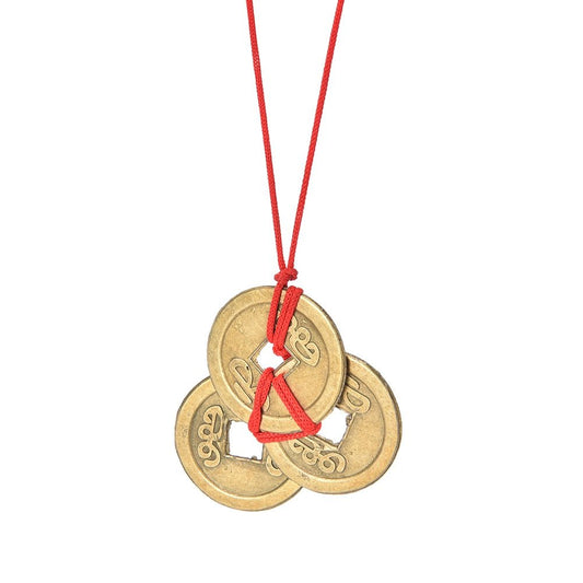 WEALTH AND SUCCESS LUCKY COINS